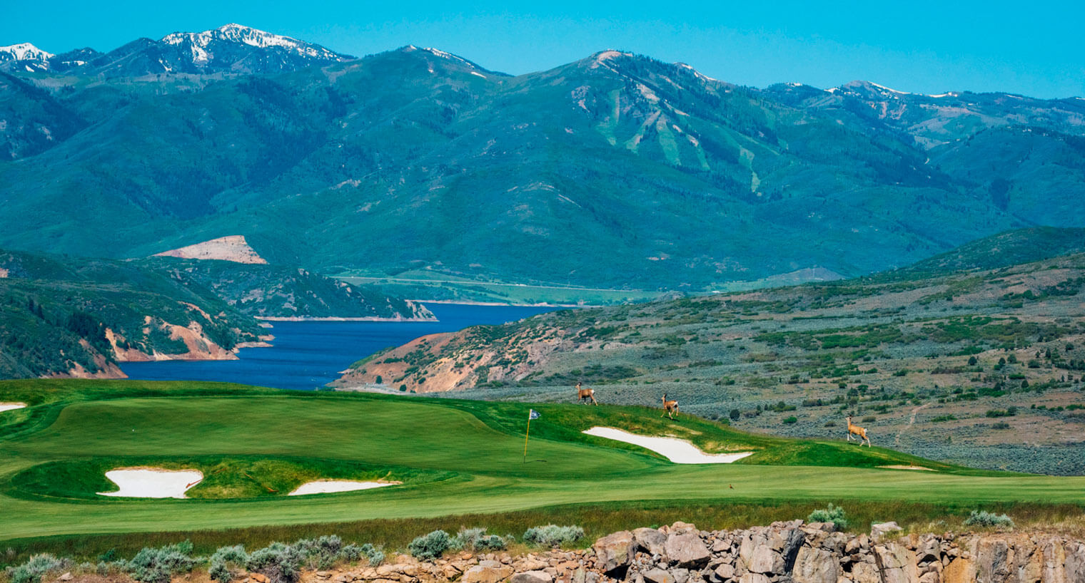 three deer crossing a golf course in front of a mountain range