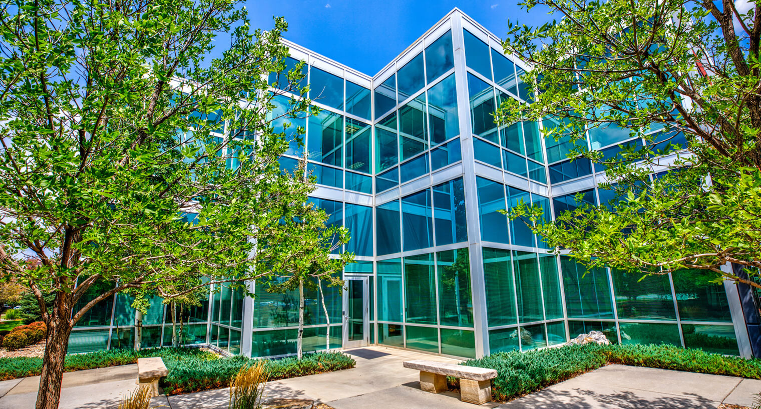 Outdoor courtyard with trees, landscaping and benches